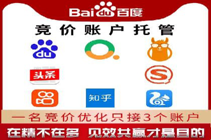 知名SEM公司案例分析：优化策略与成果